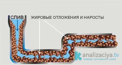 Жир на стенках канализационных труб 