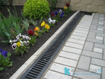 Поверхностный дренаж участка