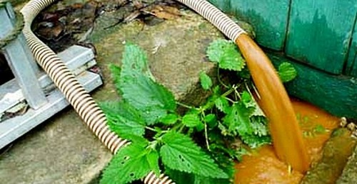 Откачка грязной воды